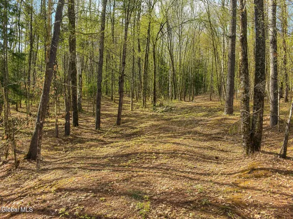 L93 Highview Lane Lot 9, Wevertown, NY 12886