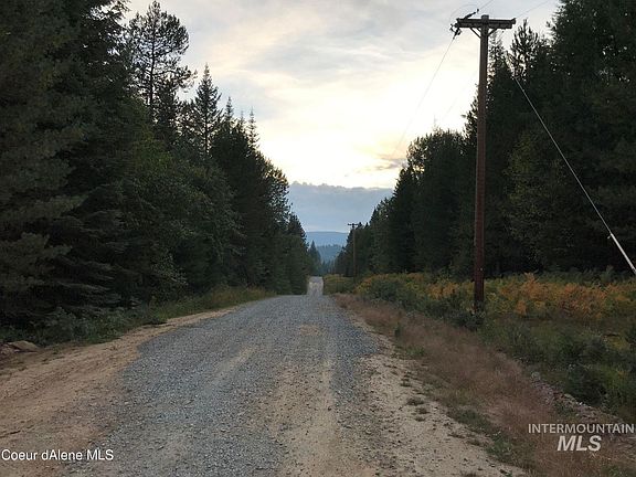 3rd image of PARCEL Three Nna Talking Bear Dr