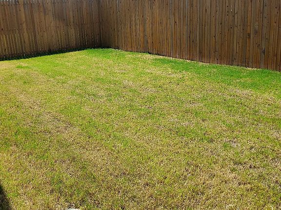 Back of the house, fence IN