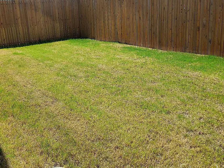 Back of the house, fence IN