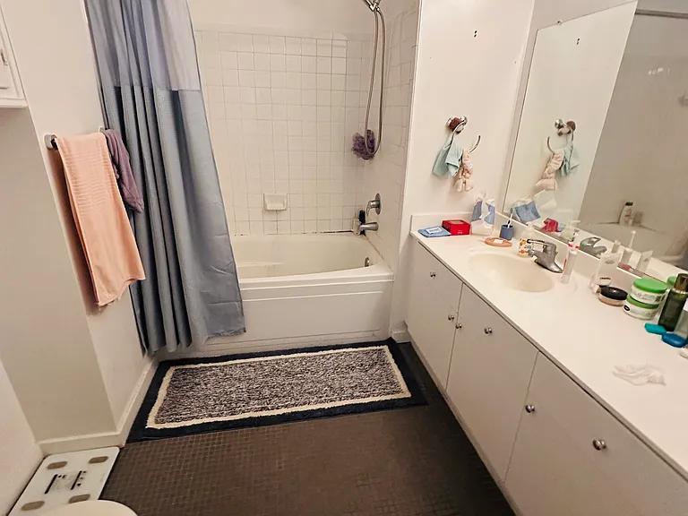 Bathroom in master bedroom