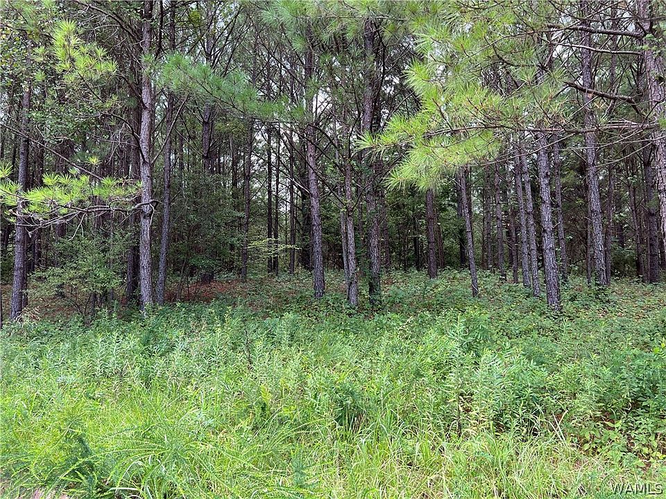 2nd image of 35 Crimson Ridge Cir