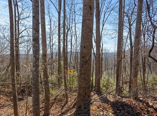 0 Dogwood Dr, Lake Lure, NC 28746