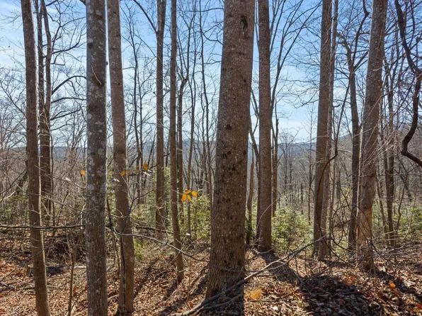 0 Dogwood Dr, Lake Lure, NC 28746