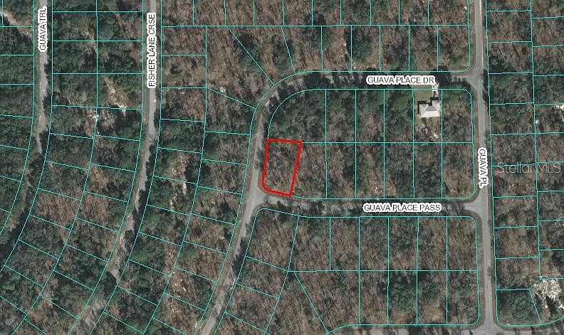 1st image of 00 Guava Place Pass