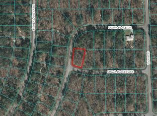 00 Guava Place Pass, Ocklawaha, FL 32179