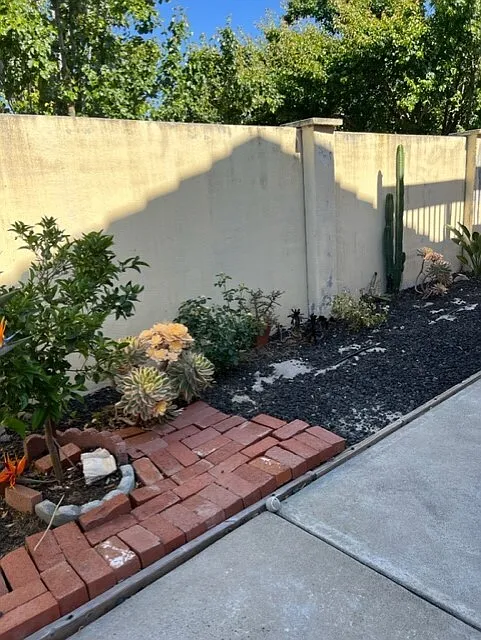 417 Powell Drive - 1 — Photo 3