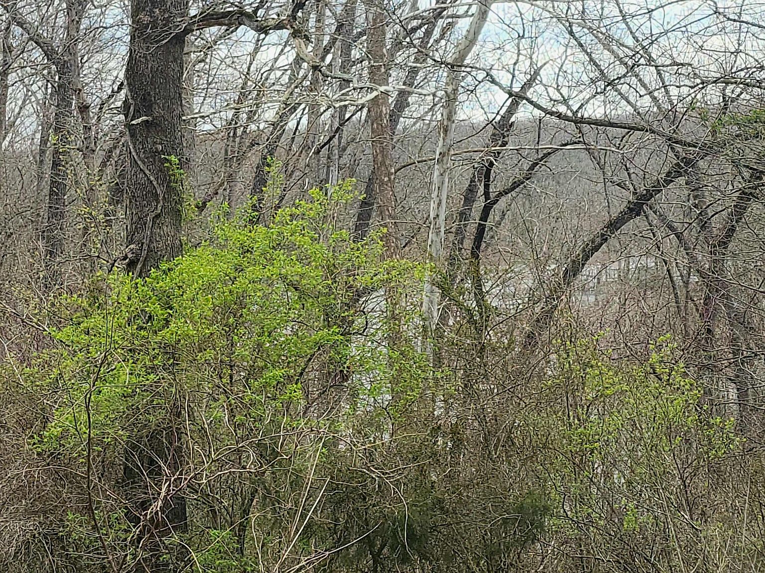 172 Nuthatch Road, Shell Knob, MO 65747 Zillow