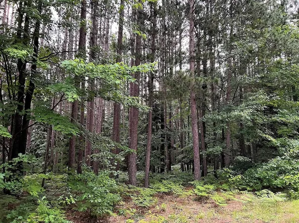 LOT 18 Lady Slipper Dr, Fairview, MI 48621