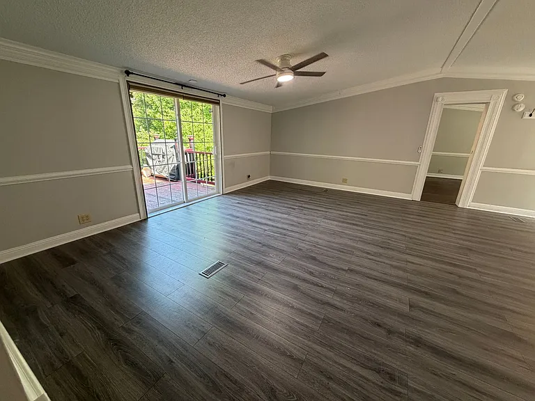 207 Big Tree Dr — Photo 8