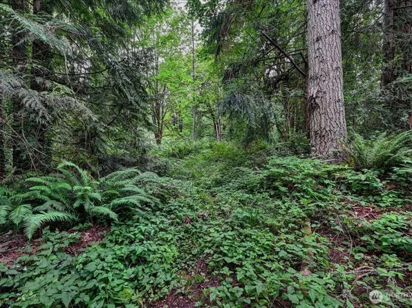 4133 W Ames Lake Drive NE, Redmond, WA 98053
