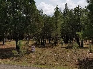 2892 Apache Dr, Happy Jack, AZ 86024
