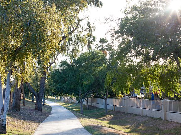 Walk/jogging paths