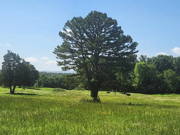 TRACT Six Whittington Homestead, Story, AR 71970