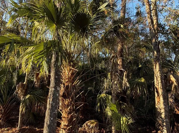  NW 42nd Ln, Chiefland, FL 32626