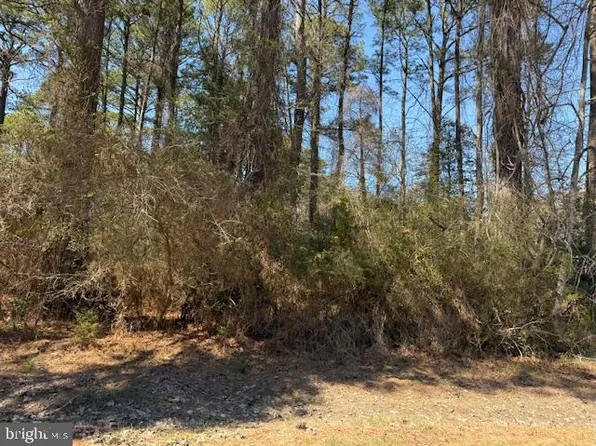 1102 Amidship Dr, Greenbackville, VA 23356