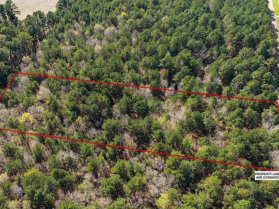 4th image of 3150 Narcissus Rd