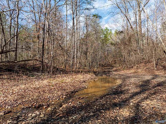 3rd image of Red Hill Rd