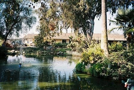 View front of house across pond
