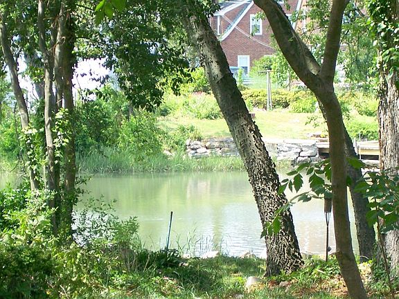 View of the creek