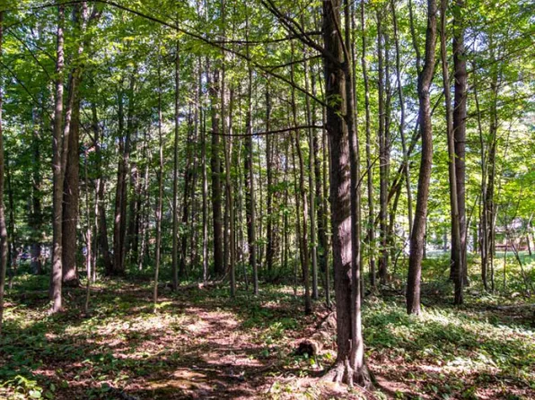 Corral Dr, Caseville, MI 48725
