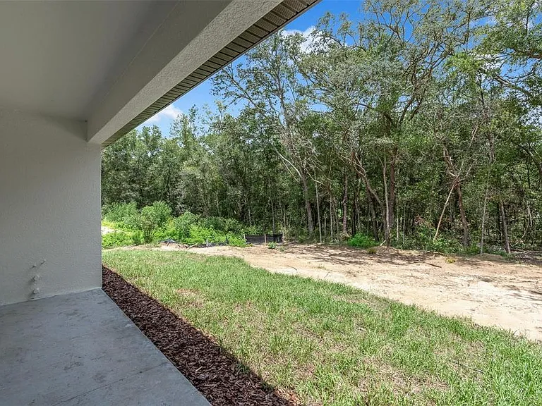 10615 N Didiscus Dr — Photo 39