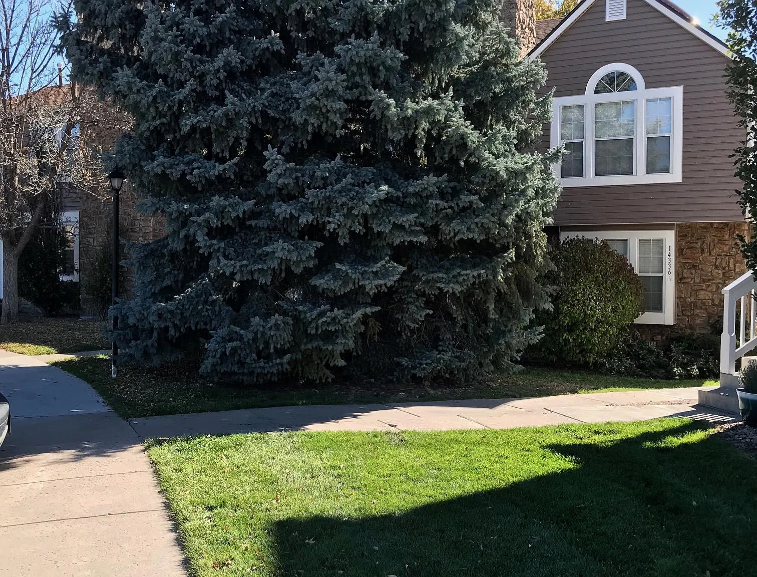 2 bed, 2.5 bath, 1088 sqft, $1,995 — Photo 4