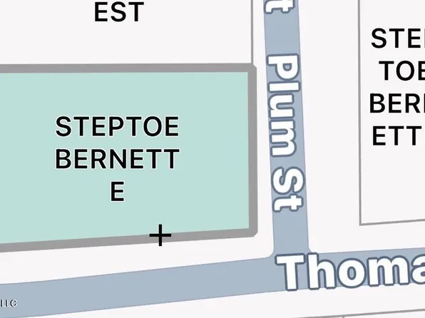 1306 Thomas St, Summit, MS 39666