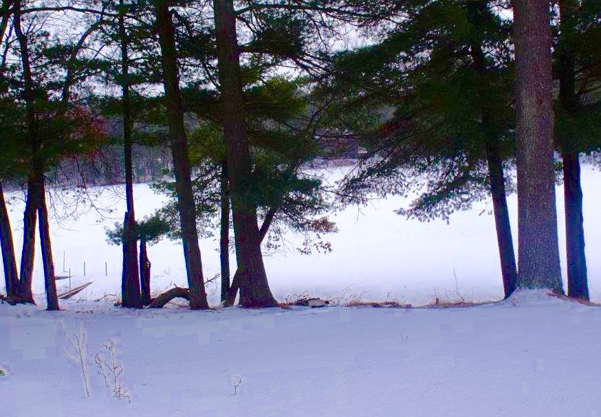 2nd image of Lake Lot