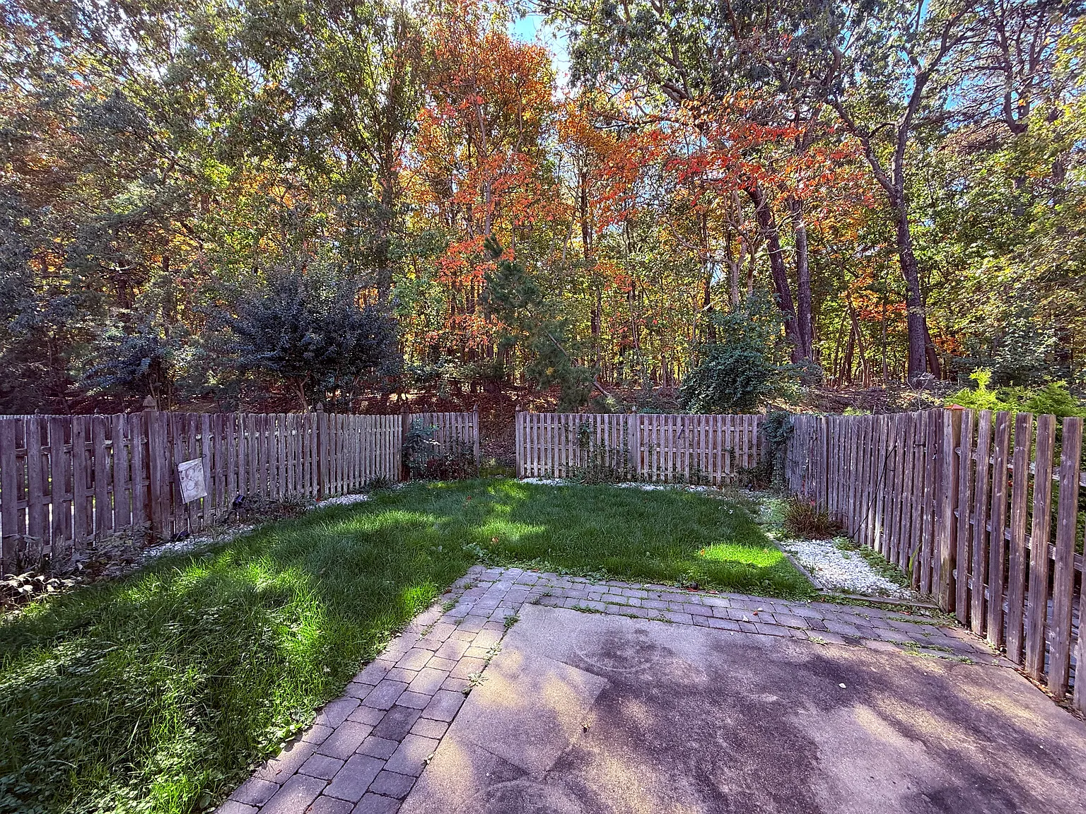 2 bed, 1311 sqft, $2,500 — Photo 3