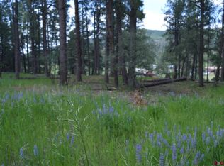 141 Snowbird Ct, Bayfield, CO 81122