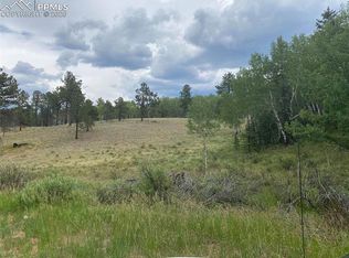 550 Aspen Village Rd, Divide, CO 80814