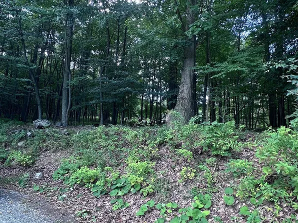 125 Lightning Trl, Fairfield, PA 17320