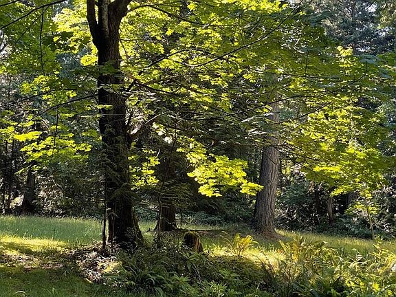 3rd image of 6375 Saint Johns Point Rd