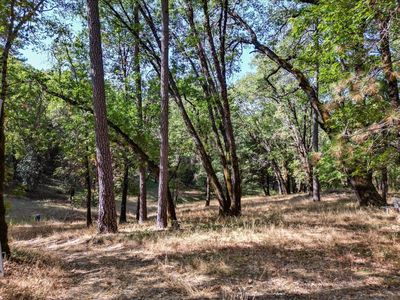 13321 Preston Rd, Nevada City, CA, 95959