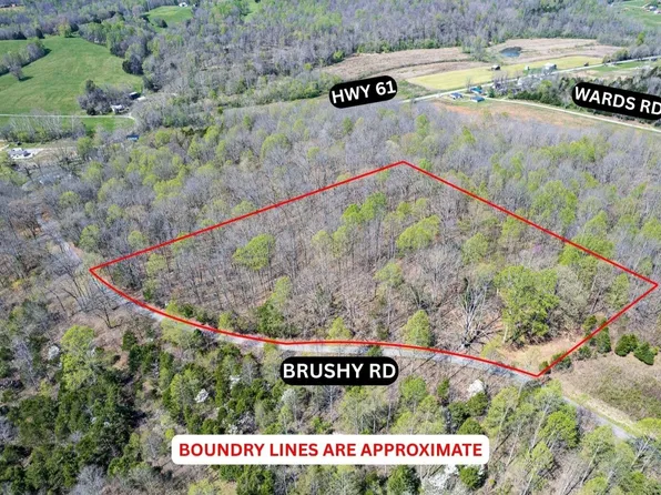 0 Brushy Rd, Mount Sherman, KY 42764