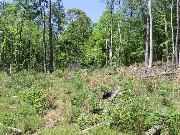 4th image of 0-T S Chester Rd Tract A