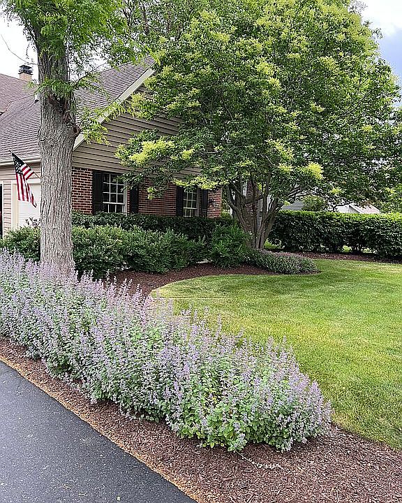 2nd image of 3918 Acacia Dr