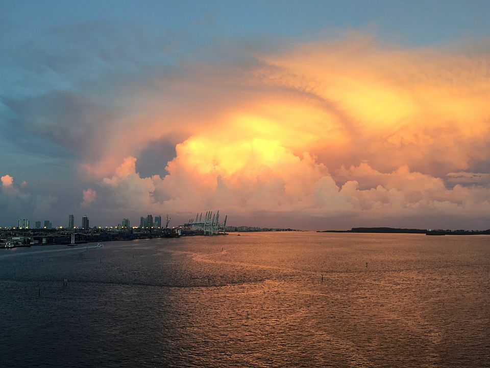 1st image of 335 Biscayne Blvd APT 1212