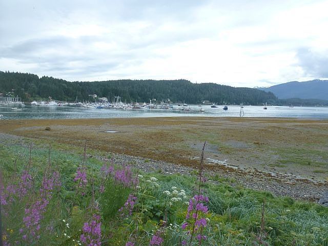 Auke Bay Harbor view