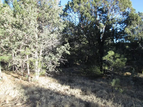 222 Sonterra Dr, Alto, NM 88312