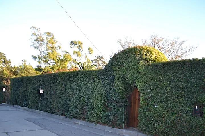 Front of property- apartment is in the back