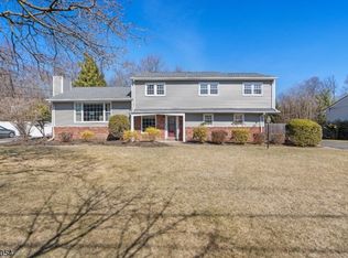22 Maria Dr, Hillsdale, NJ 07642