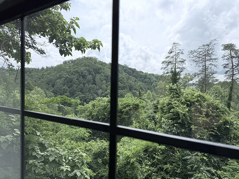 Views from bedroom 2