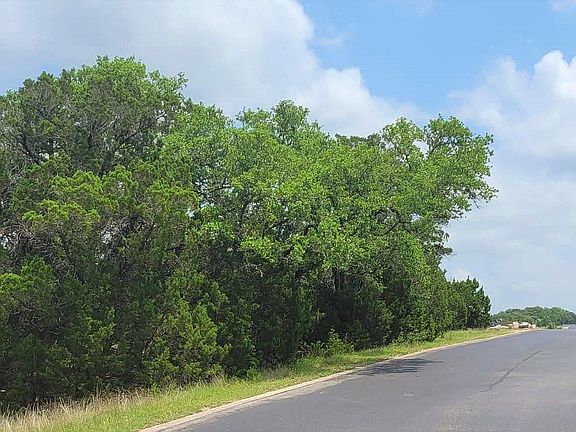 Front tree lined