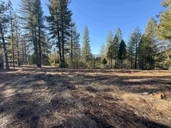 1210 Upper Pecks Valley Rd, Greenville, CA 95947