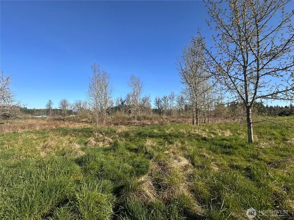 517 Toledo Salmon Creek Road, Toledo, WA 98591