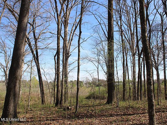 4th image of 10 Barton Desoto Rd