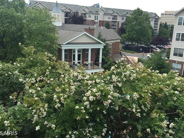 Beautiful lush landscaping