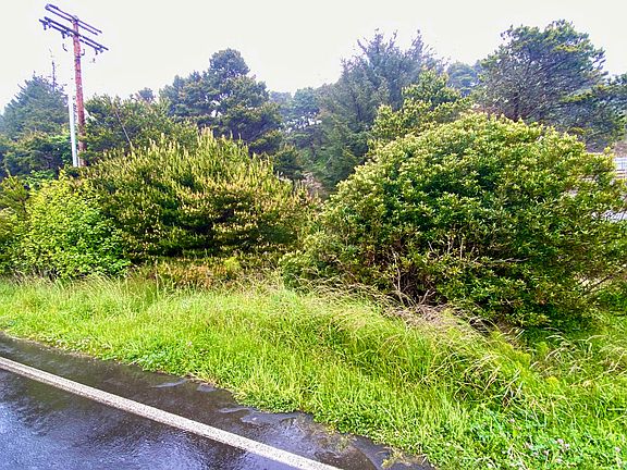 4th image of 1601 NW Bayshore Dr